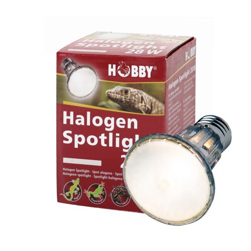 HOBBY Terraristik - Halogen Spotlight 28W